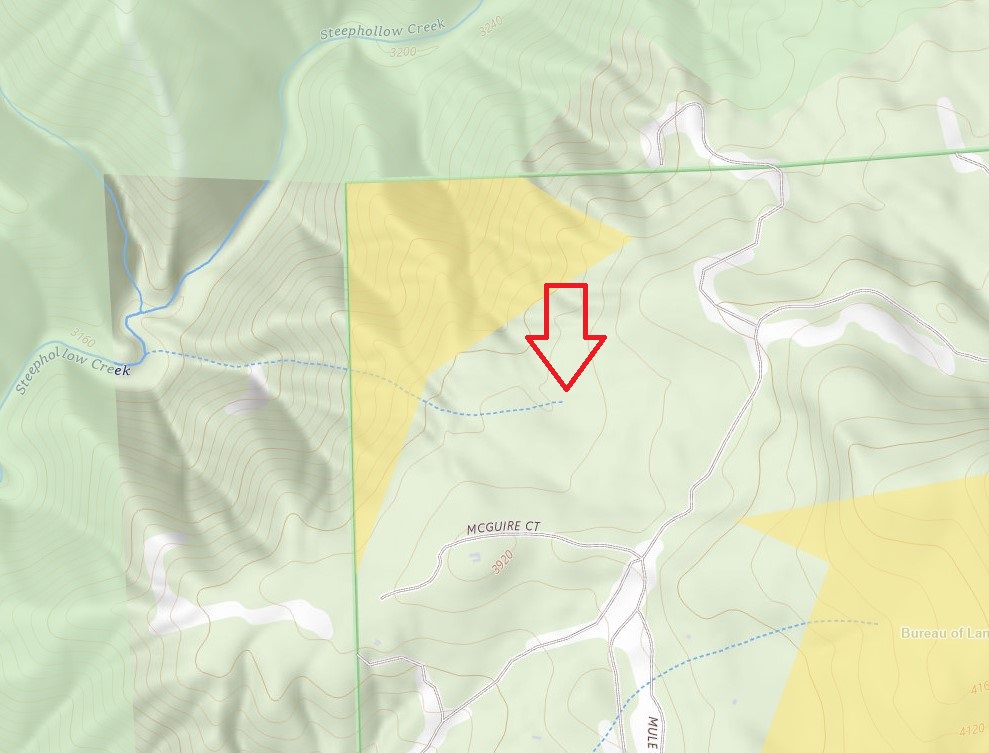 Mountain creek headwaters on the property