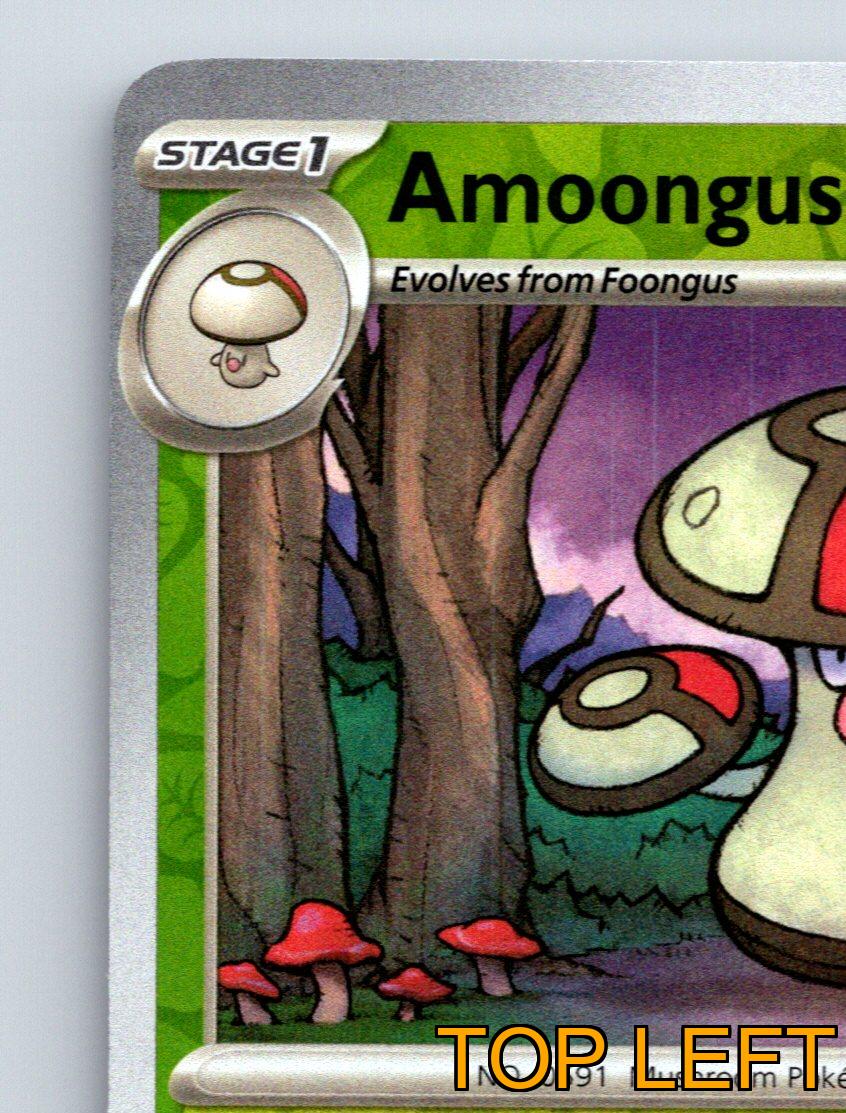 Stage 1 Amoonguss HP 110 Dangerous Spores Attack Green Colorful Pokmon |  eBay