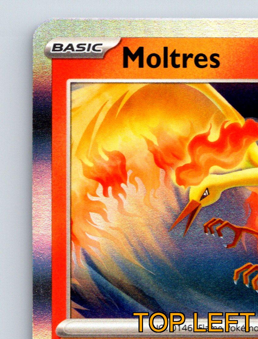 Basic Moltres HP 120 Blazing Flight Attack Rarity Red Colorful