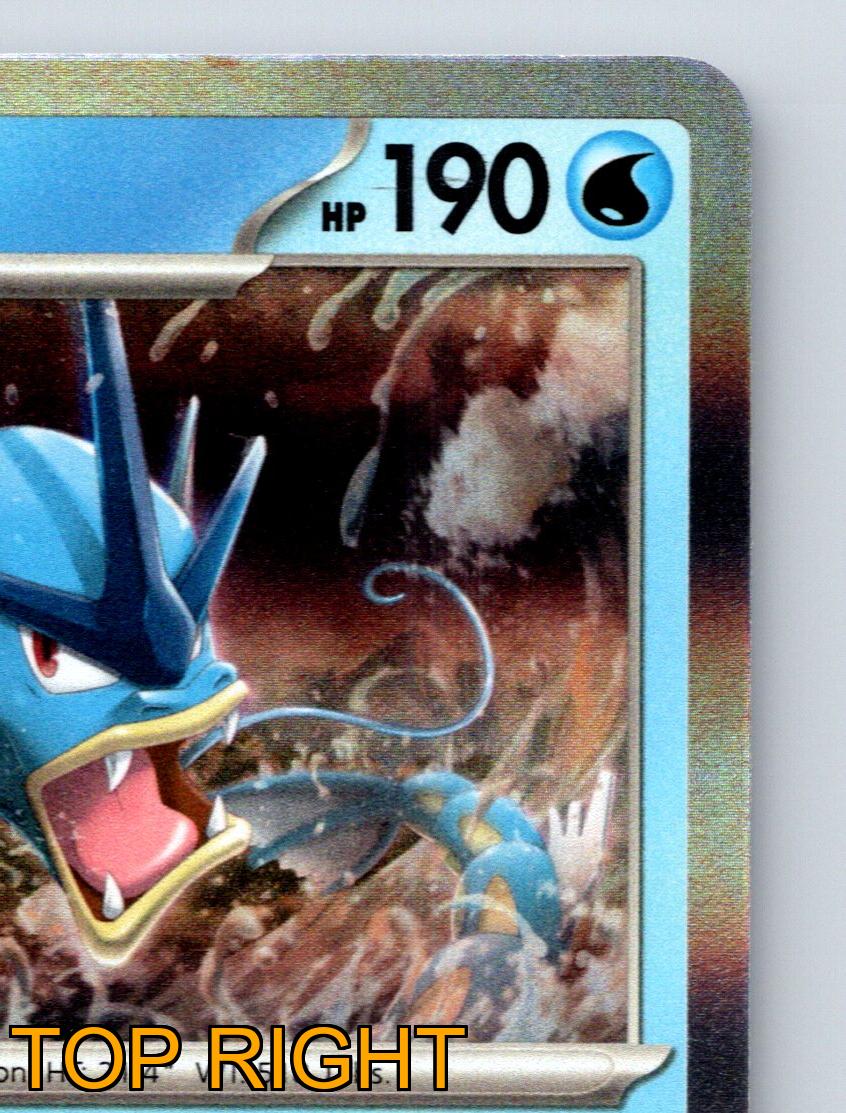 ポケモンカード Gyarados 100 HP INDIA POKEMON CARD BY FUNSKOOL 2004: GYARADOS 100 HP DRAGON RAGE