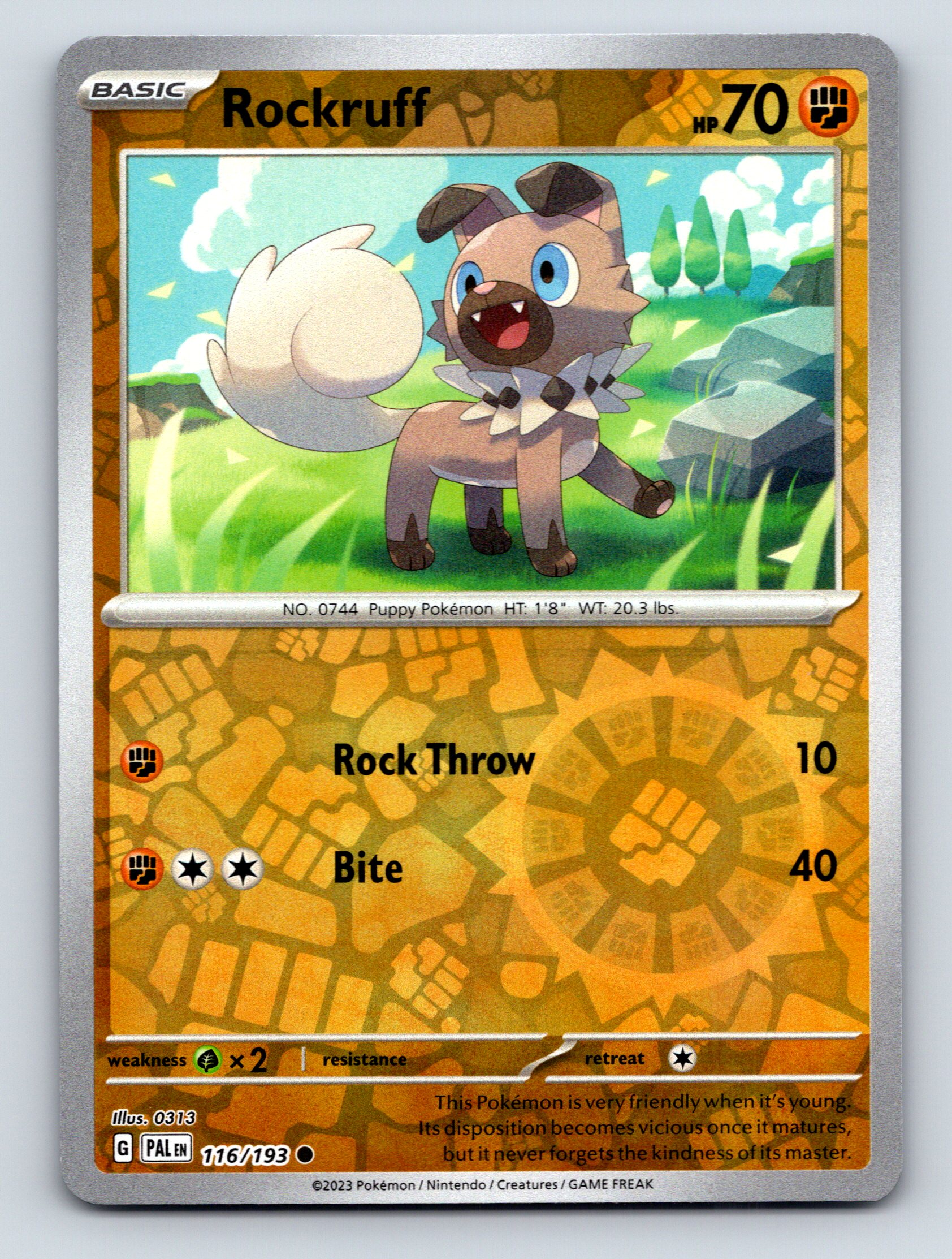 Basic Rockruff HP 70 Rock Throw and Bite Rarity Brown Pokémon Card
