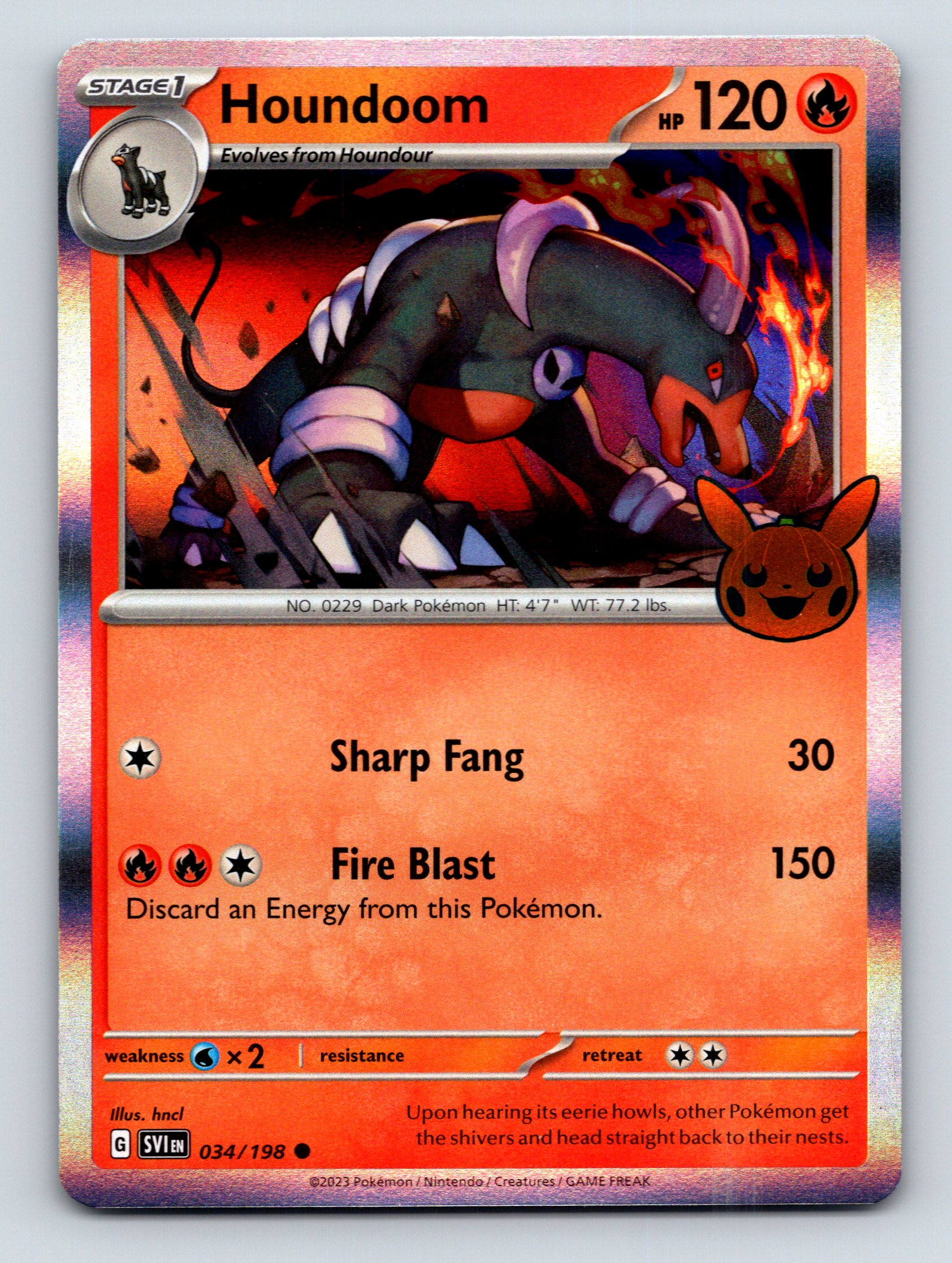 pokemon mystery card box Mystery Box of 100 Pokemon Cards