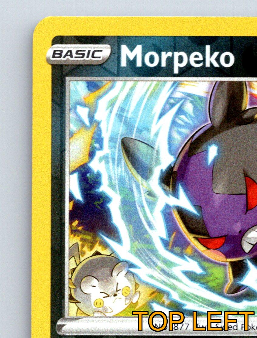 Basic Morpeko HP 60 Peko Blaster Attack Darkness Black Pokémon | eBay