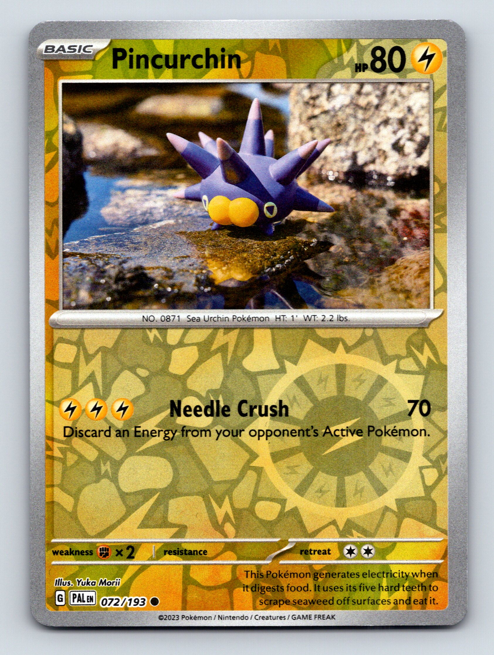 Basic Pincurchin HP 80 Needle Crush Attack Rarity Yellow