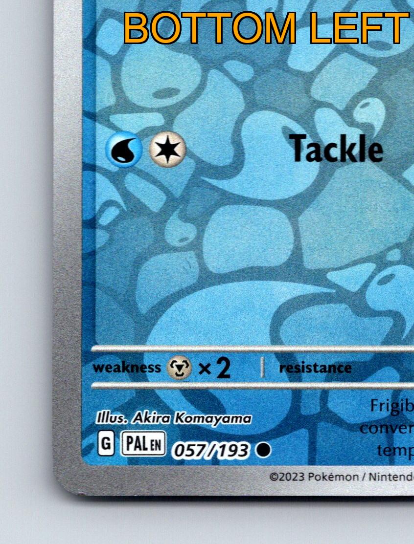 Basic Frigibax HP 60 Tackle Attack Ice Fin Pokémon Blue Card | eBay