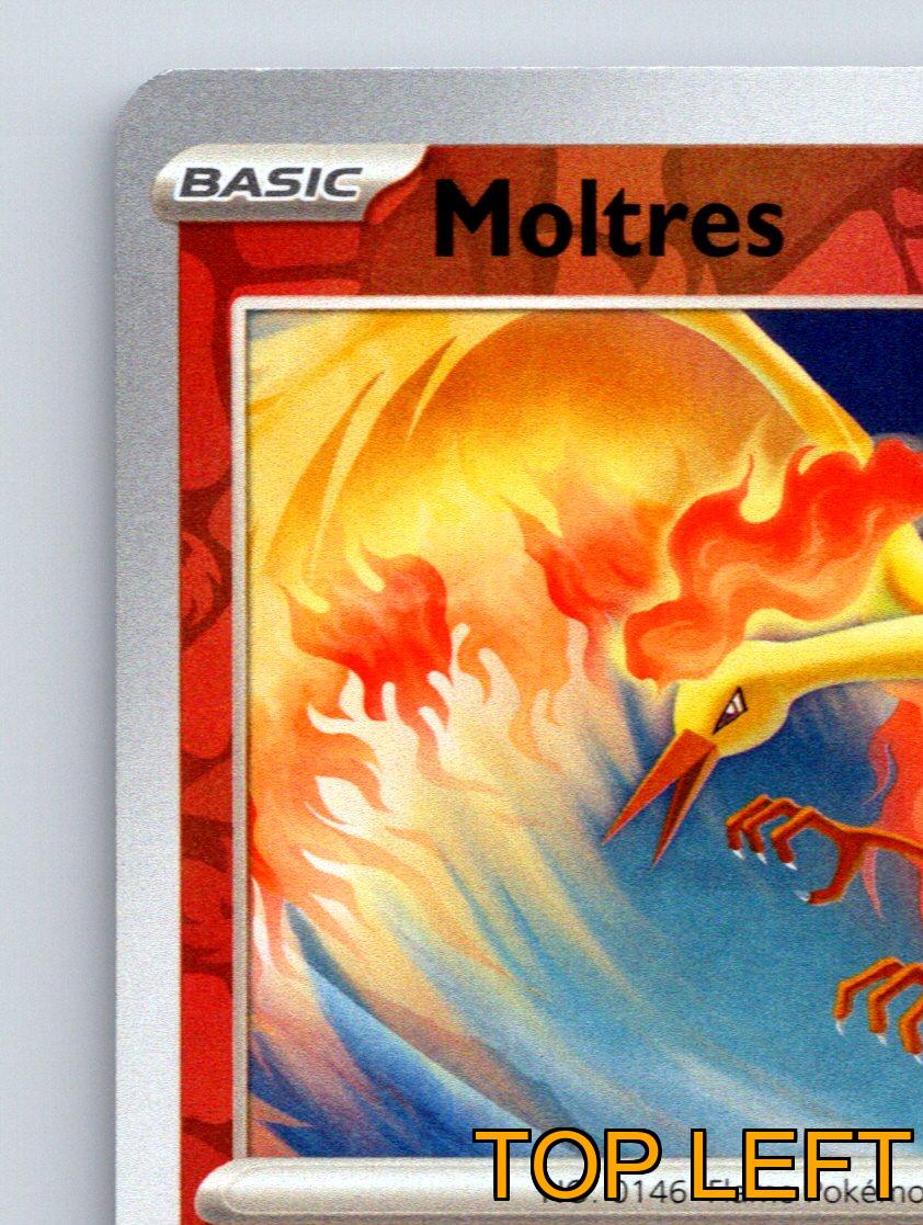 Basic Moltres HP 120 Blazing Flight Attack Rarity Red Radiant
