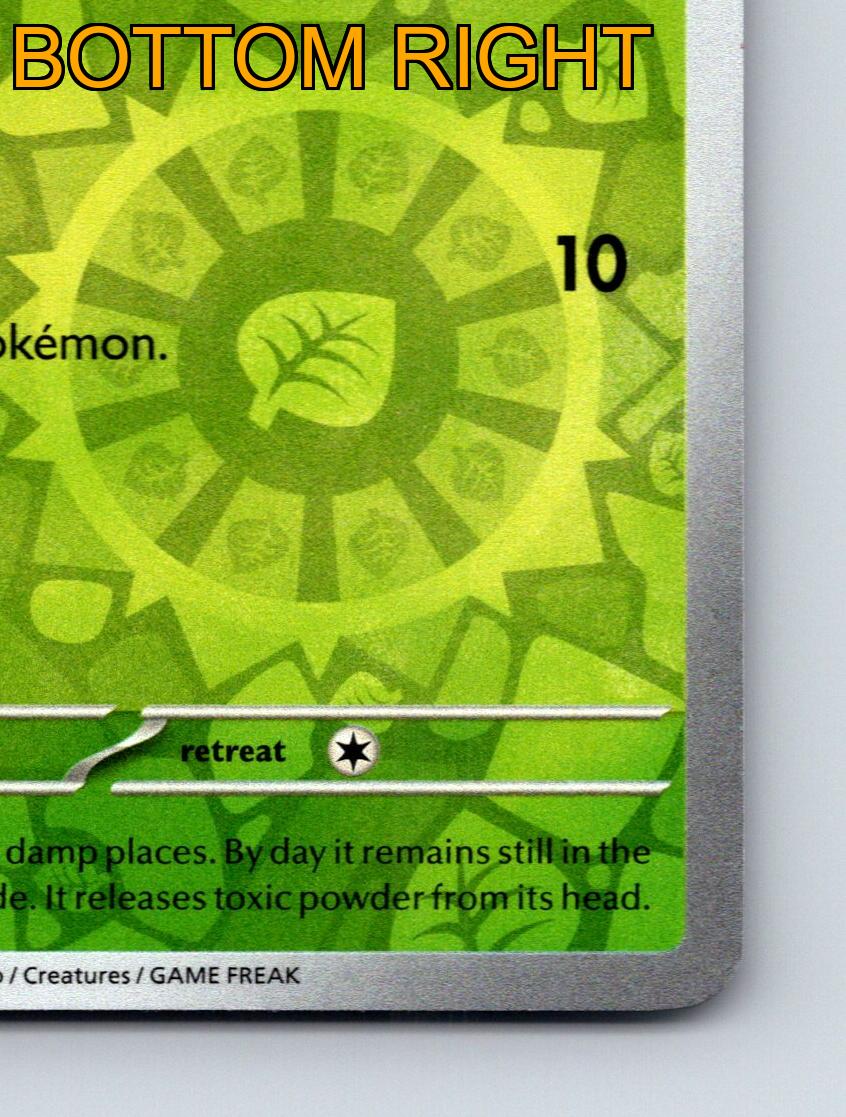 shroomish pokemon card value Shroomish 78/100 - ex Sandstorm - Reverse Holo main image 1