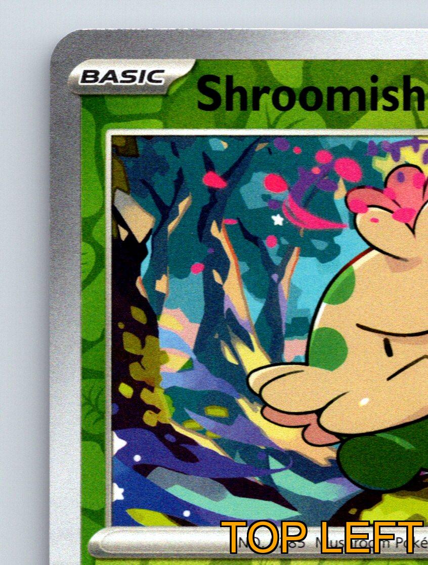 Basic Shroomish HP 60 Absorb Attack Rarity Green Vibrant Pokmon Card | eBay Basic Shroomish HP 60 Absorb Attack Rarity Green Vibrant Pokmon Card | eBay