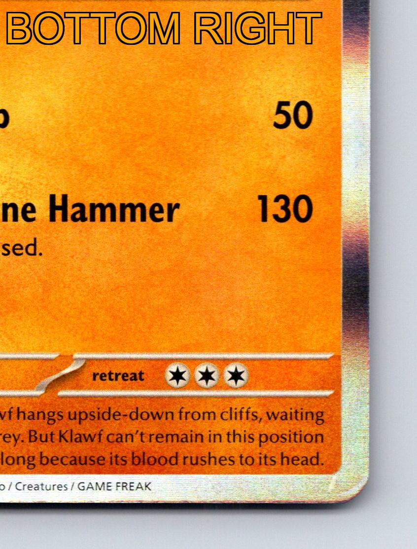 Basic Klawf HP 130 Vise Grip Attack Rarity Orange Pokmon Card | eBay