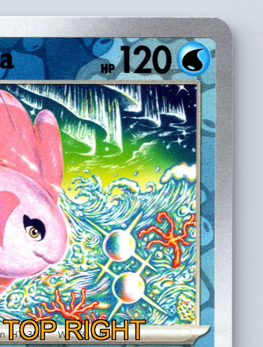 alomomola pokemon card value Basic Alomomola HP 120 Surf Aqua Slash Attack Rarity Blue Colorful Pokémon