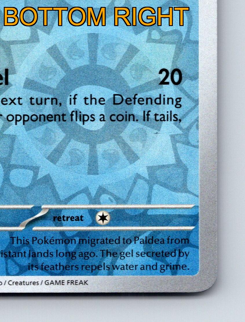 Basic Quaxly HP 60 Apply Gel Attack Rarity Blue Pokémon Card