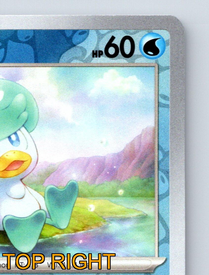 basic quaxly pokemon card Quaxly 52