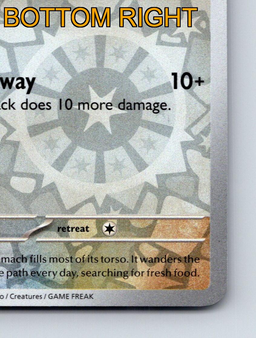Basic Yungoos HP 70 Knock Away Attack Rarität Gray Star Pokémon TCG - Bild 6 von 10