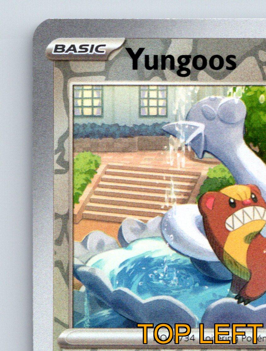 Basic Yungoos HP 70 Knock Away Attack Rarität Gray Star Pokémon TCG - Bild 3 von 10