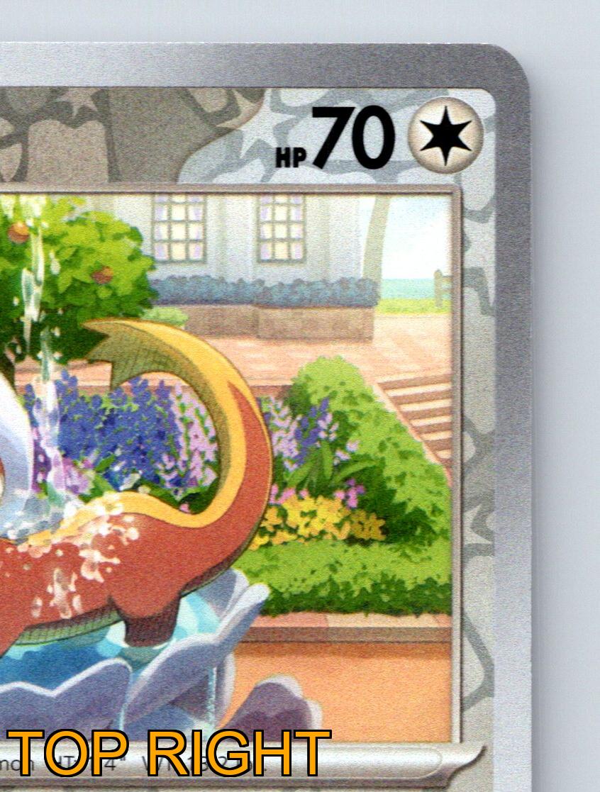 Basic Yungoos HP 70 Knock Away Attack Rarität Gray Star Pokémon TCG - Bild 4 von 10
