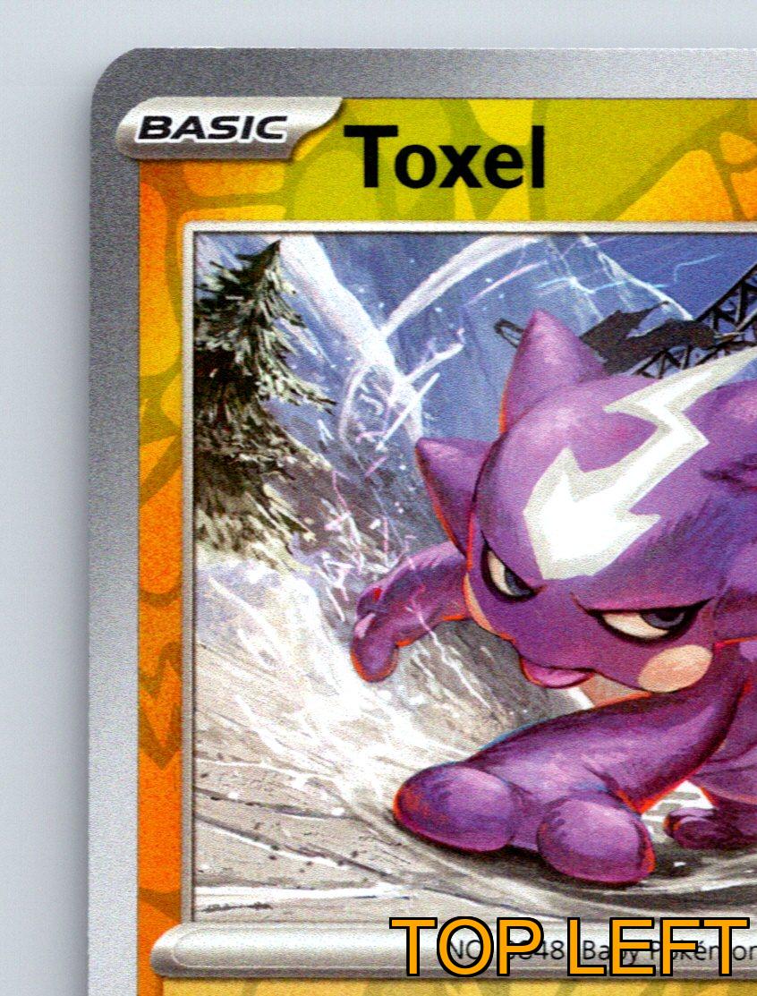Basic Toxel HP 70 Slight Intrusion Attack Rarity Purple Colorful