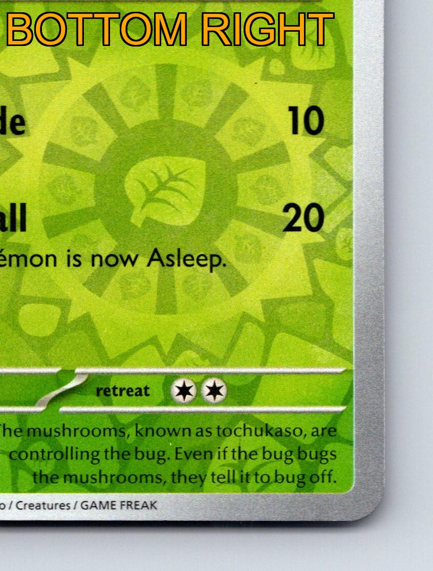 Basic Paras HP 70 Stampede Attack Green Mushroom Pokmon Art | eBay Basic Paras HP 70 Stampede Attack Green Mushroom Pokmon Art | eBay
