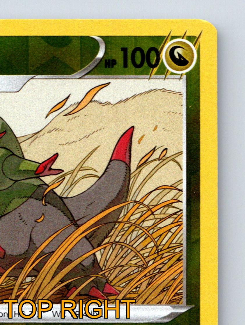 Stage 1 Fraxure HP 100 Dragon Claw Attack Rarity Green Pokémon - Picture 4 of 10