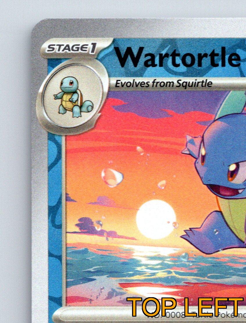 Stage 1 Wartortle HP 100 Free Diving Spinning Attack Blue Pokémon