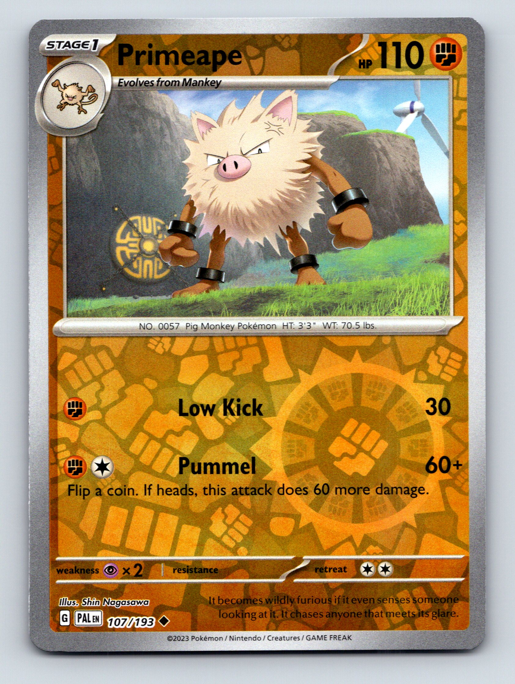 Stage 1 Primeape HP 110 Pummel Attack Rarity Colorful Pokémon Card
