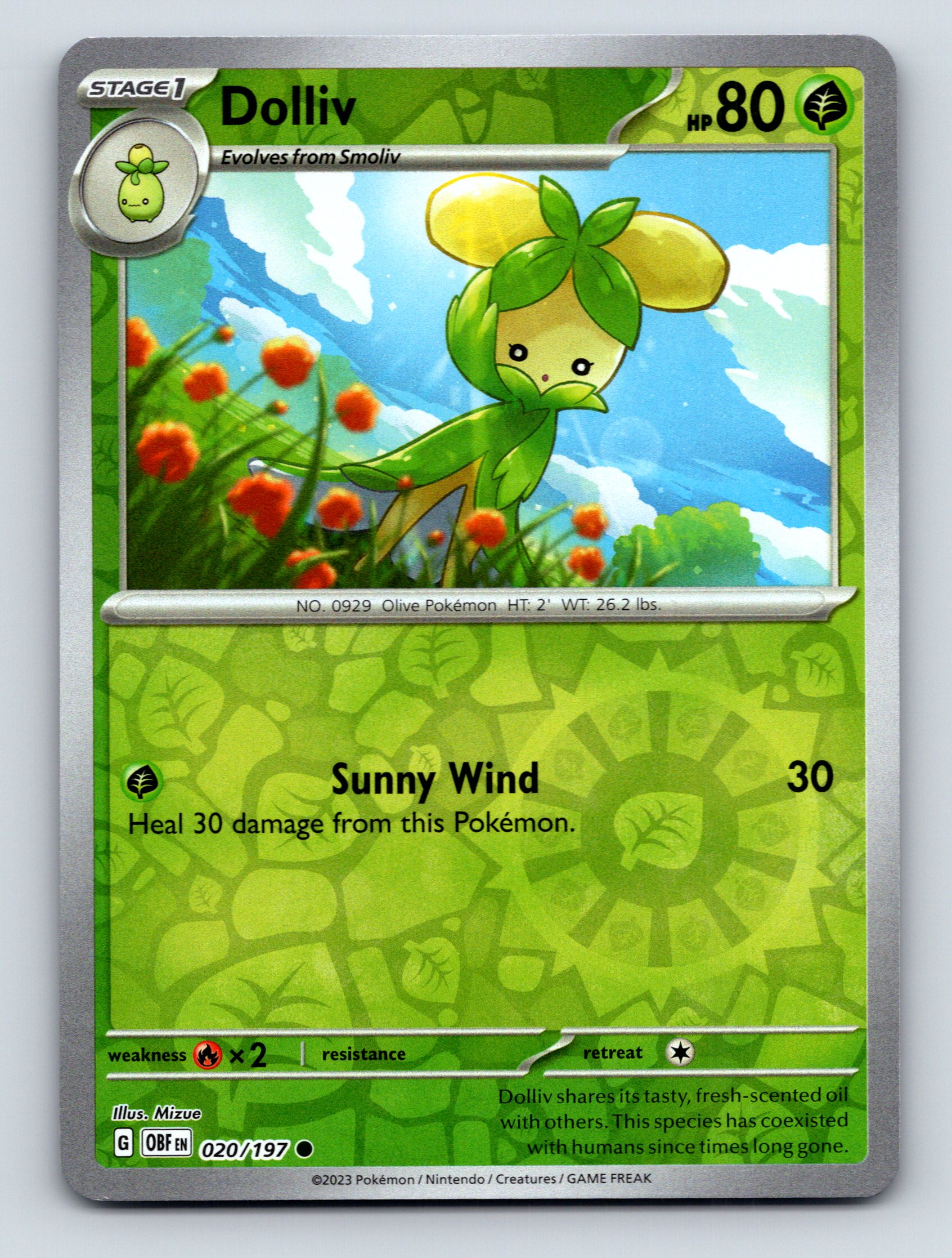 Stage 1 Dolliv HP 80 Sunny Wind Attack Rarity Green Colorful