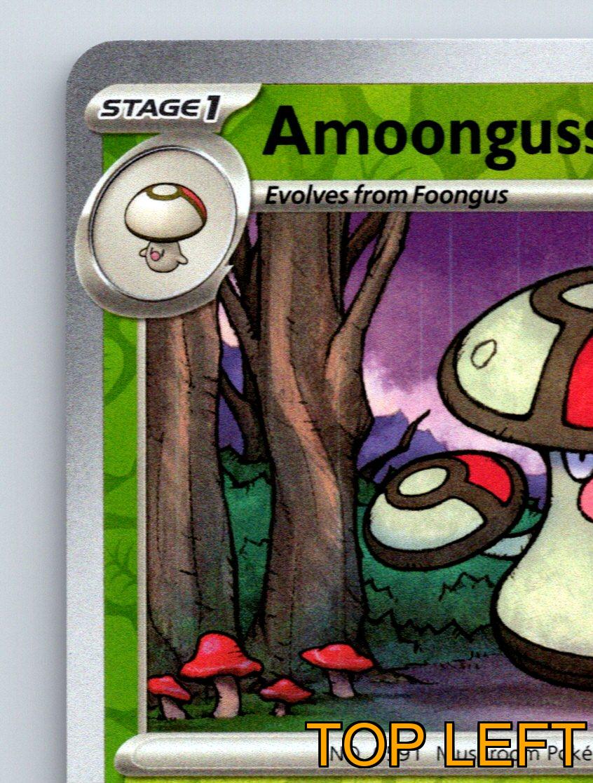 Stage 1 Amoonguss HP 110 Dangerous Spores Attack Green Color Pokmon | eBay Stage 1 Amoonguss HP 110 Dangerous Spores Attack Green Color Pokmon | eBay