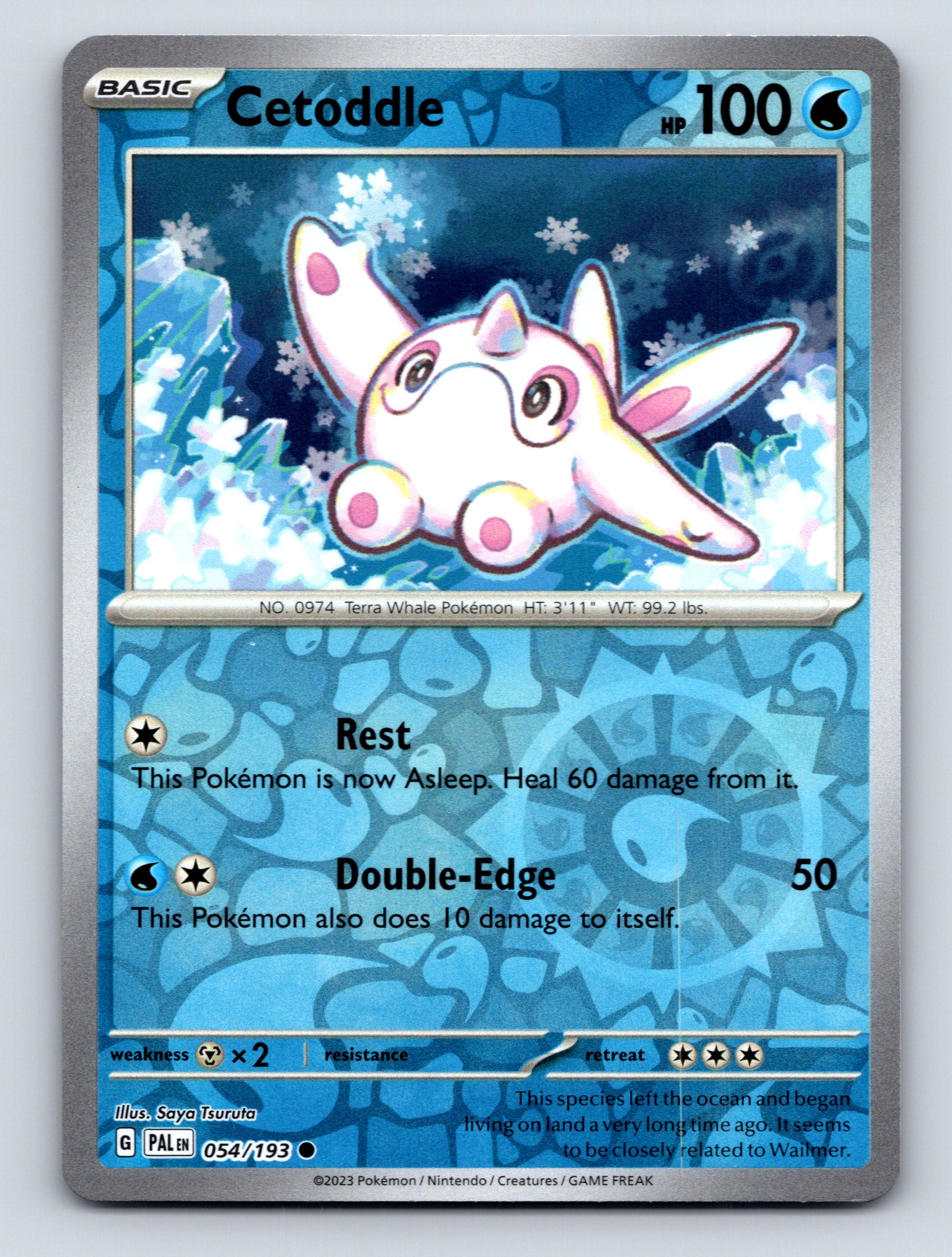 Basic Cetoddle HP 100 Double Edge Attack Blue Terra Whale Pokémon | eBay UK
