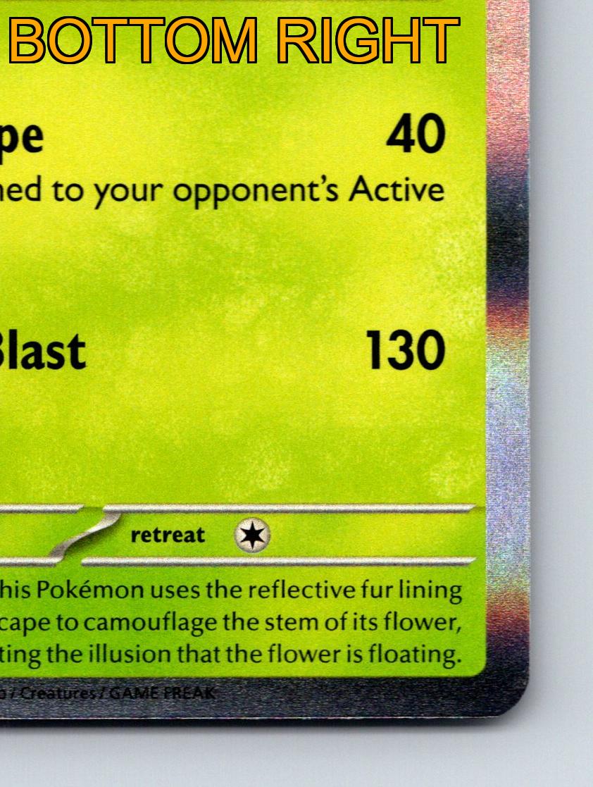 Stage 2 Meowscarada HP 160 Flower Blast Attack Rarity Green Pokémon Card - Picture 6 of 10