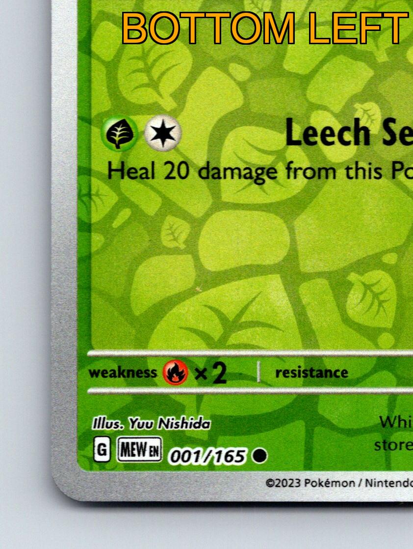 Basic Bulbasaur HP 70 Leech Seed Attack Rarity Green Vibrant