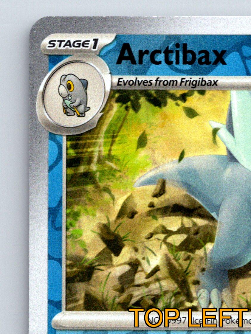 arctibax pokemon card price Stage 1 Arctibax HP 90 Frost Smash Attack Rarity Blue Colorful Pokémon