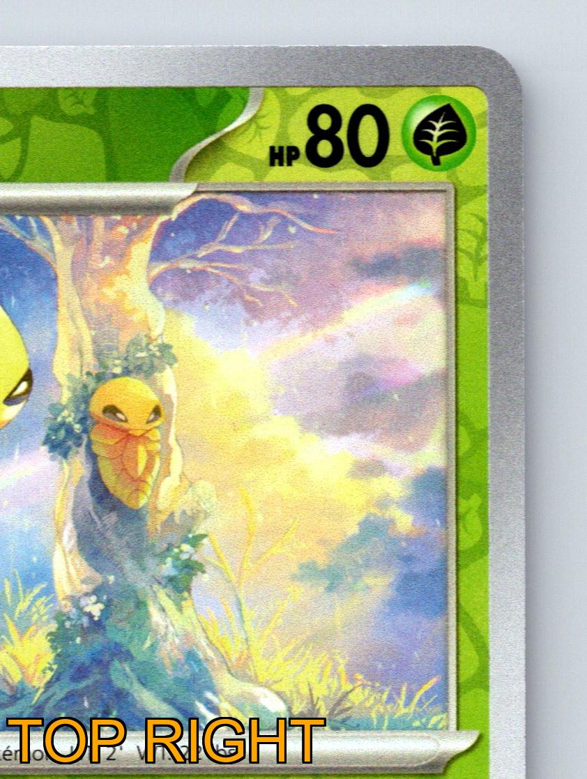 Stage 1 Kakuna HP 80 Cocoon Cover Ability Green Vibrant Pokémon