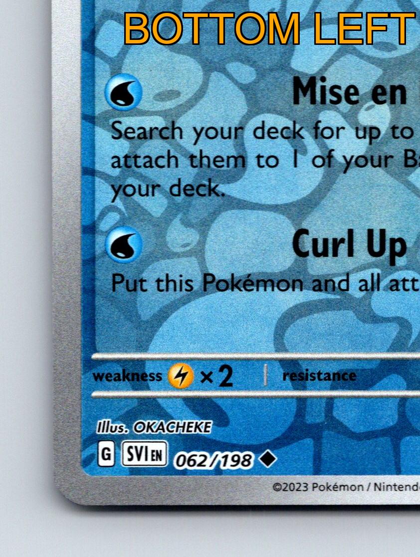 Basic Tatsugiri HP 70 Mise En Place Attack Rarity Blue Mimicry