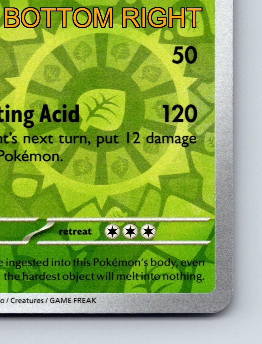 Stage 2 Victreebel HP 150 SlowActing Acid Attack Green Flycatcher