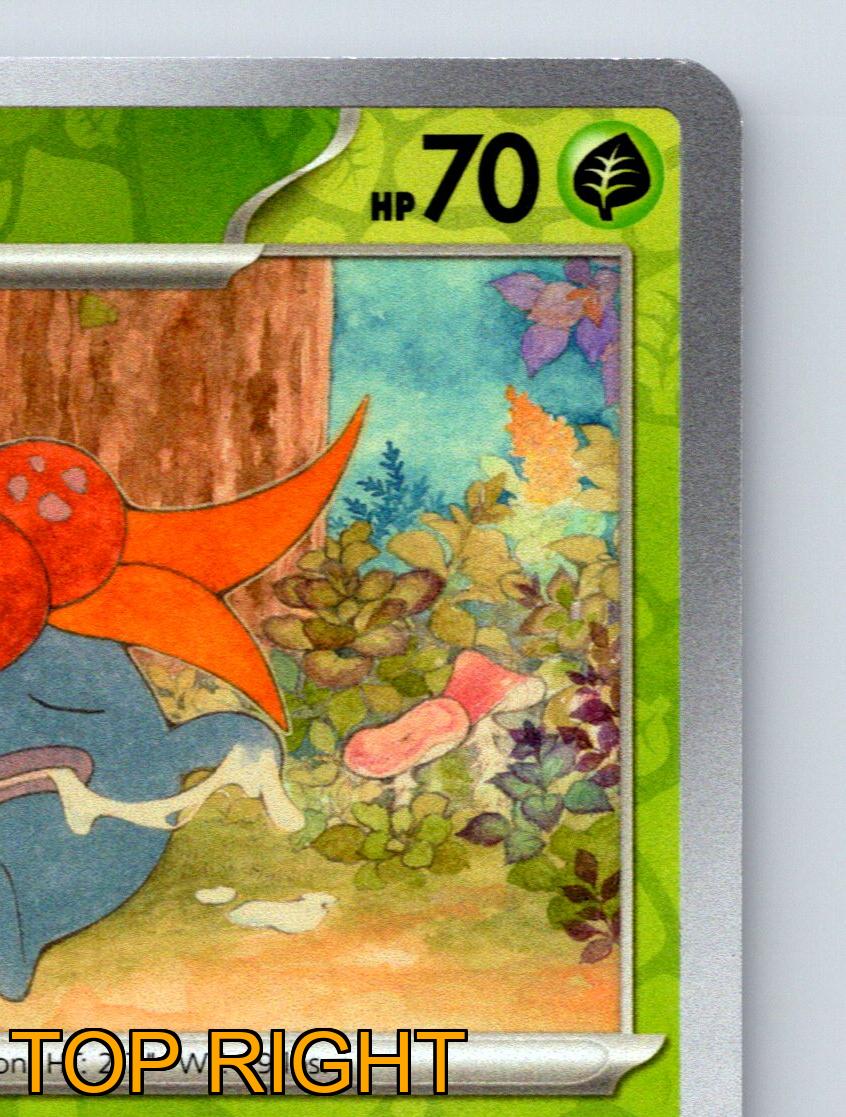 Stage 1 Gloom HP 70 Semi Blooming Energy Ability Green Pokémon | eBay