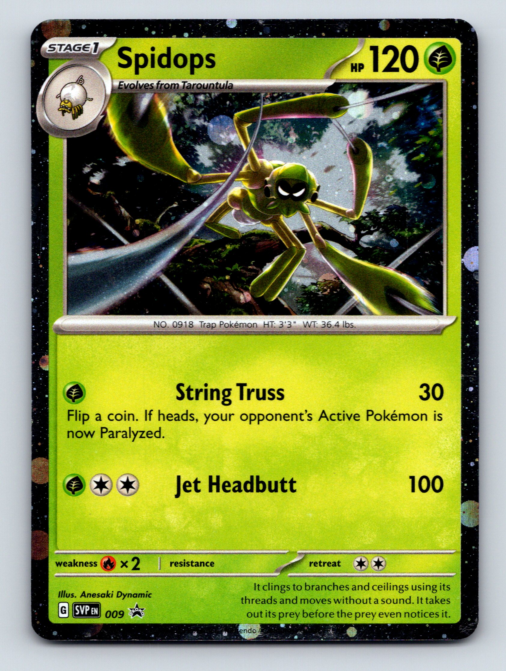 Stage 1 Spidops HP 120 String Truss Attack Rarity Green Pokémon | eBay