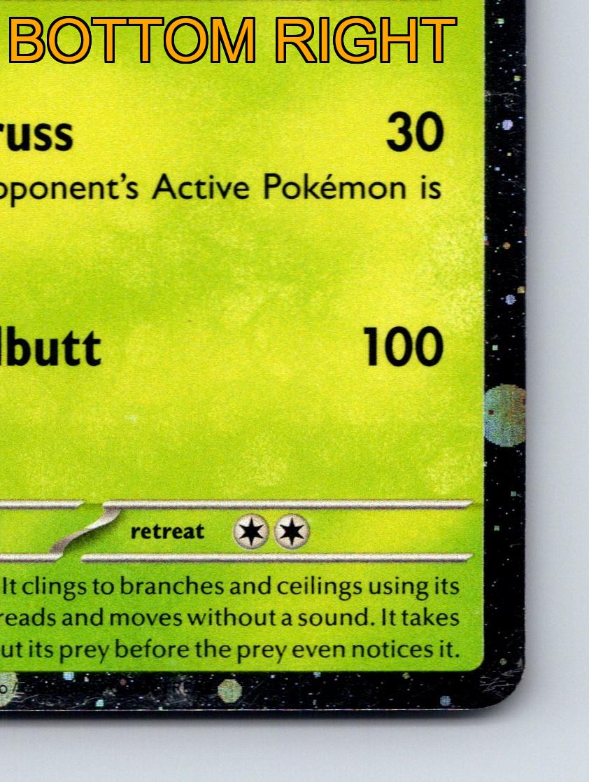 Stage 1 Spidops HP 120 String Truss Attack Rarity Green Pokémon | eBay