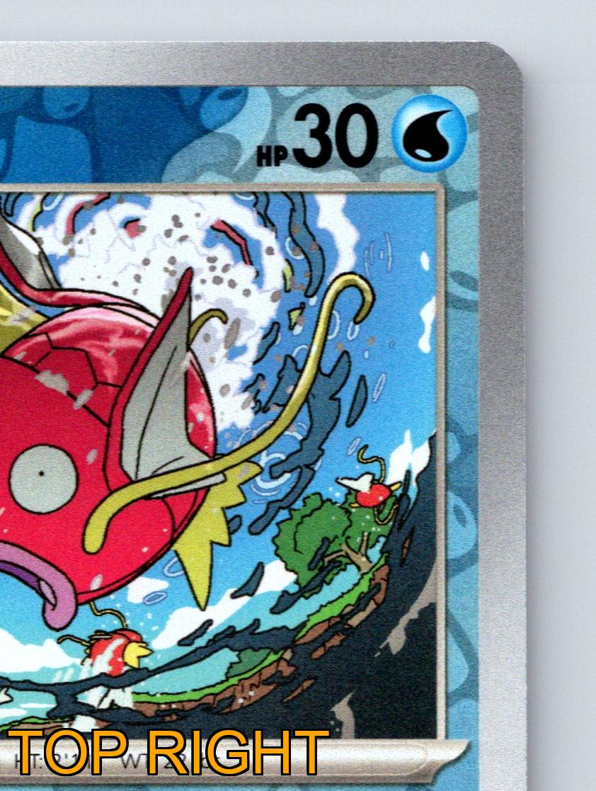 fish pokemon card Basic Dondozo HP 160 Release Rage Heavy Splash Blue Pokmon Card