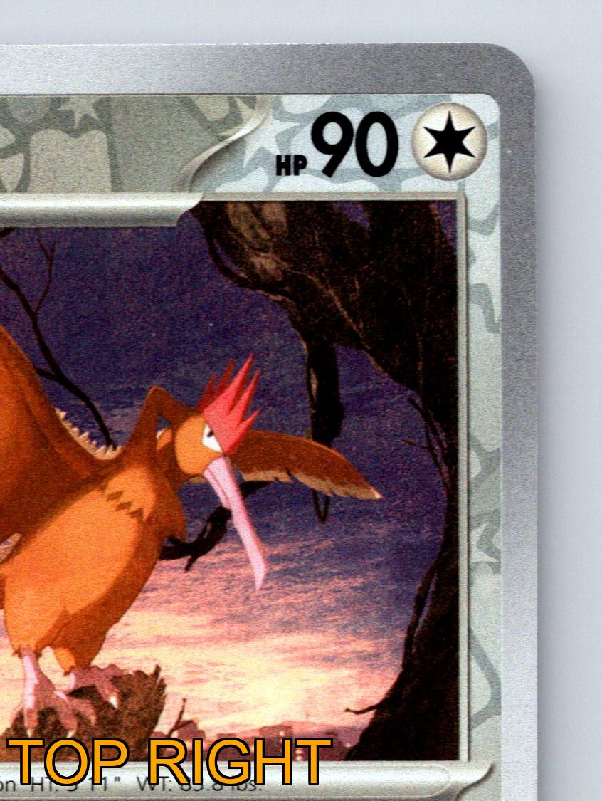 Stage 1 Fearow HP 90 Beak Catch Speed Dive Rarity Colorless