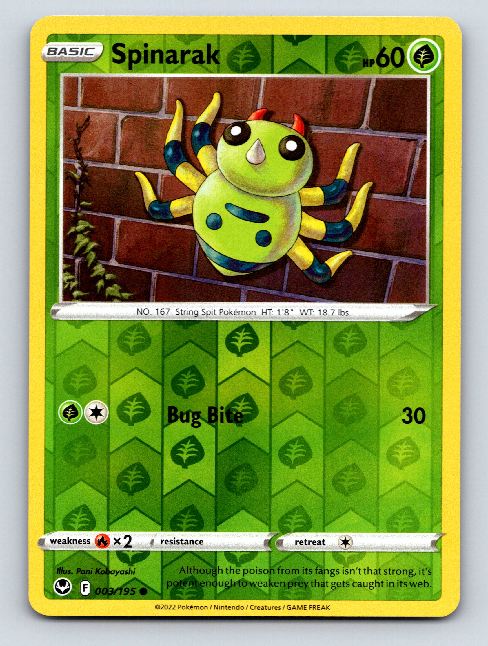 Basic Spinarak HP 60 Bug Bite Attack Colorful Green Pokmon Card Basic Spinarak HP 60 Bug Bite Attack Colorful Green Pokmon Card