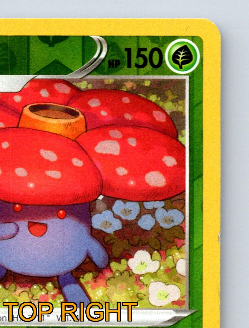 2016年 ポケモン Vileplume カード 2016年 ポケモン Vileplume カード 2016年 ポケモン Vileplume