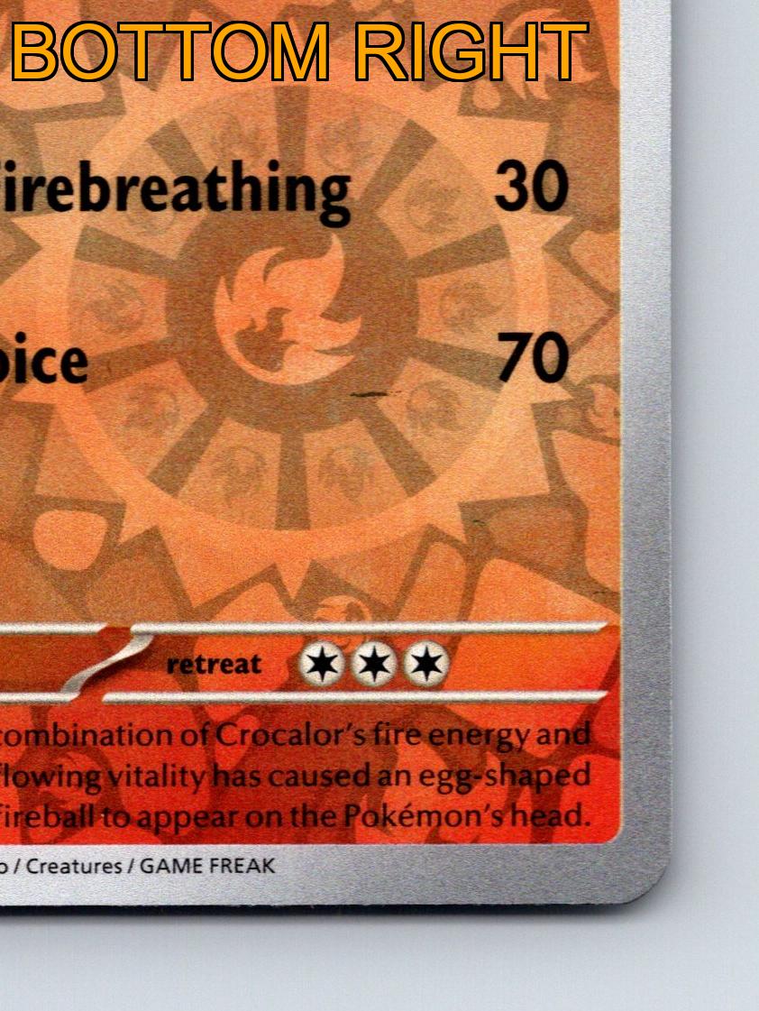 Stage 1 Crocalor HP 110 Steady Firebreathing Attack Rarity Red Pokémon - Imagen 6 de 10