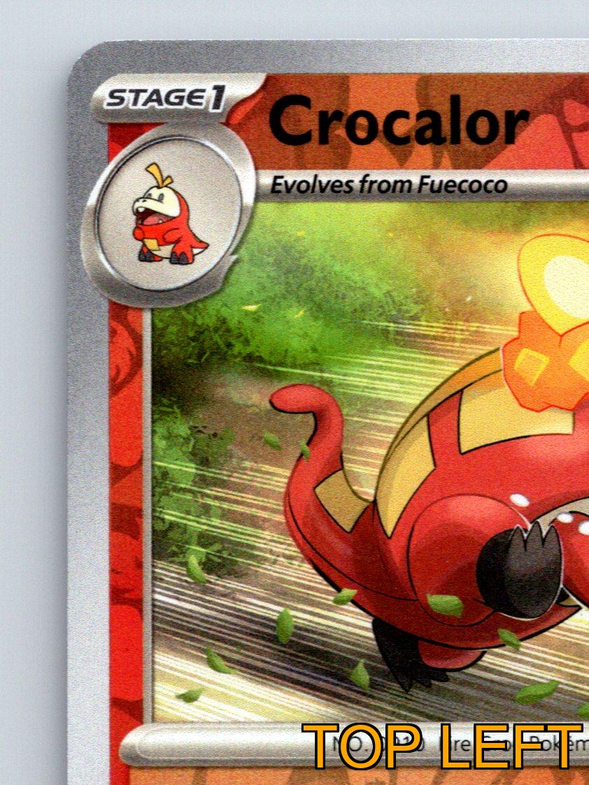 Stage 1 Crocalor HP 110 Steady Firebreathing Attack Rarity Red Pokémon - Imagen 3 de 10