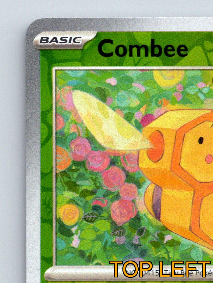 Basic Combee HP 50 Double Spin Attack Rarity Green Pokmon Card Basic Combee HP 50 Double Spin Attack Rarity Green Pokmon Card
