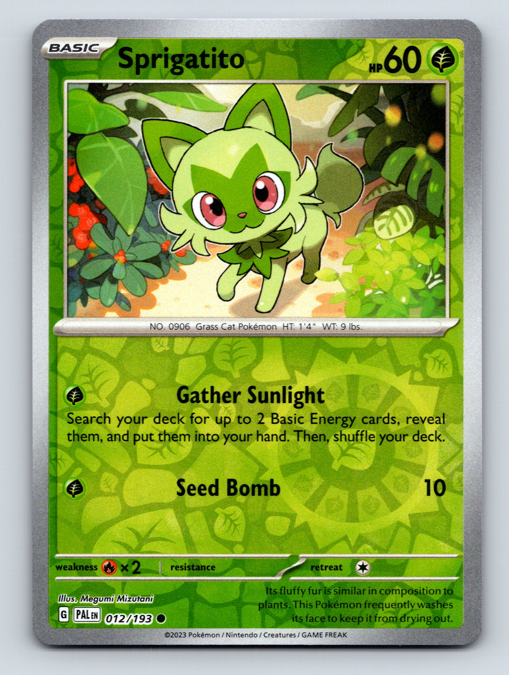 Basic Sprigatito HP 60 Gather Sunlight Attack Seed Bomb Green