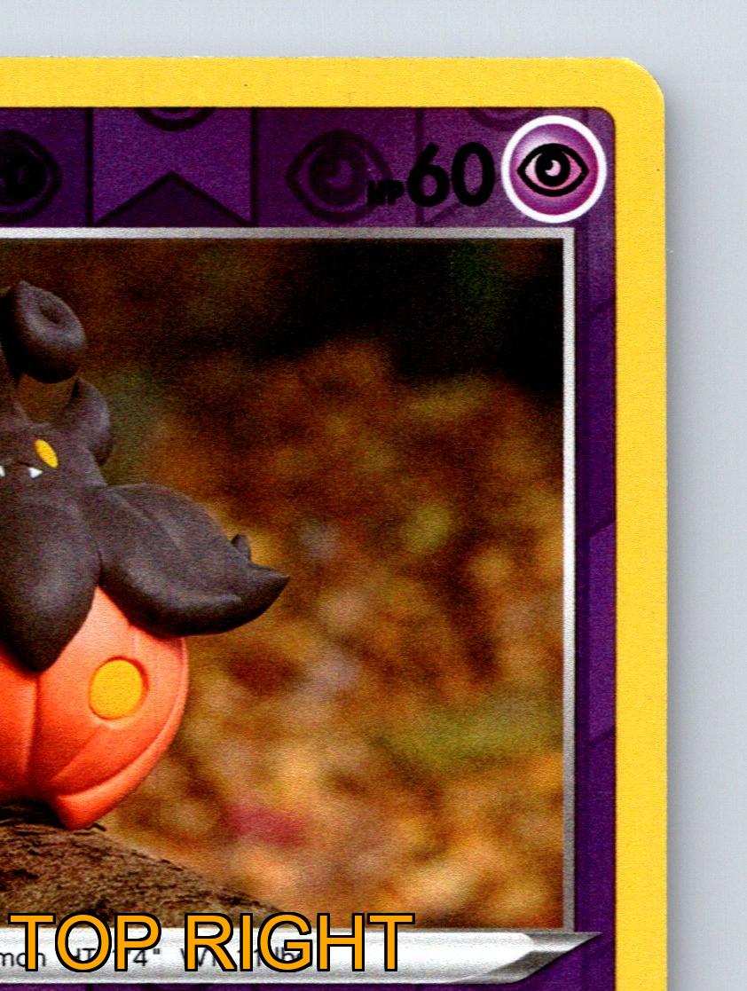 Basic Pumpkaboo HP 60 Pumpkin Pit Ability Stampede Attack Purple Pokmon | eBay Basic Pumpkaboo HP 60 Pumpkin Pit Ability Stampede Attack Purple Pokmon | eBay