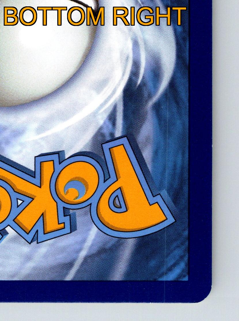 Basic Morpeko HP 60 Peko Blaster Dark Rarity Energetic Pokémon