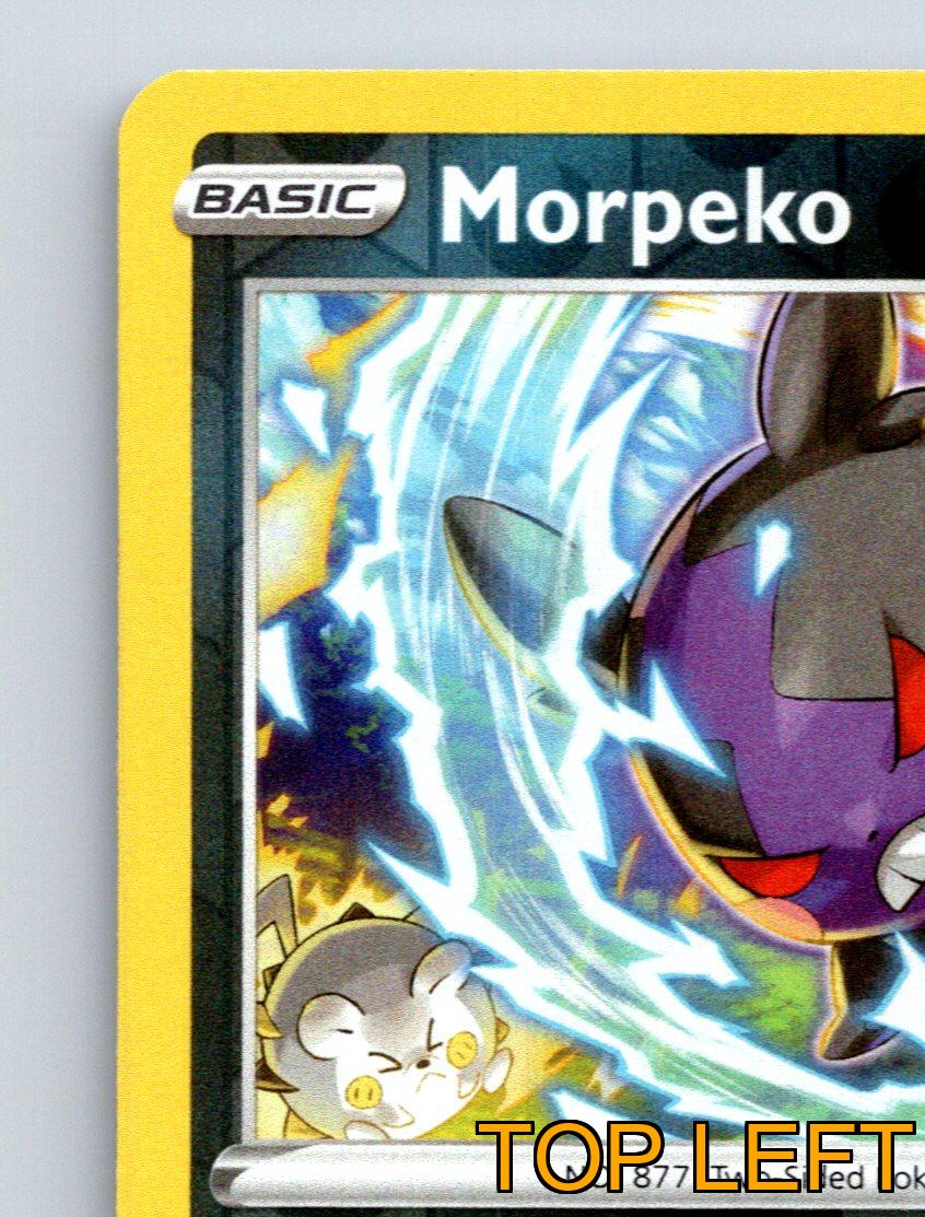 Basic Morpeko HP 60 Peko Blaster Dark Rarity Energetic Pokémon