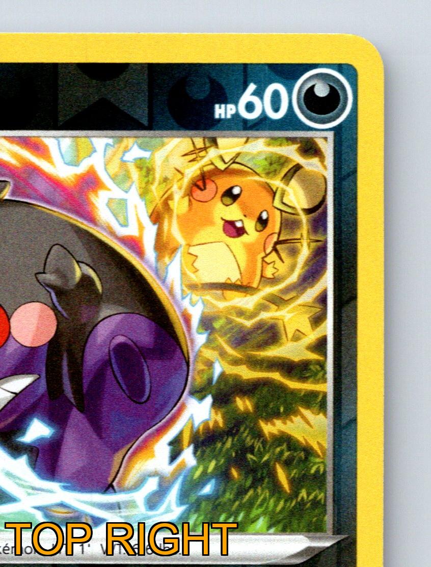 Basic Morpeko HP 60 Peko Blaster Dark Rarity Energetic Pokémon