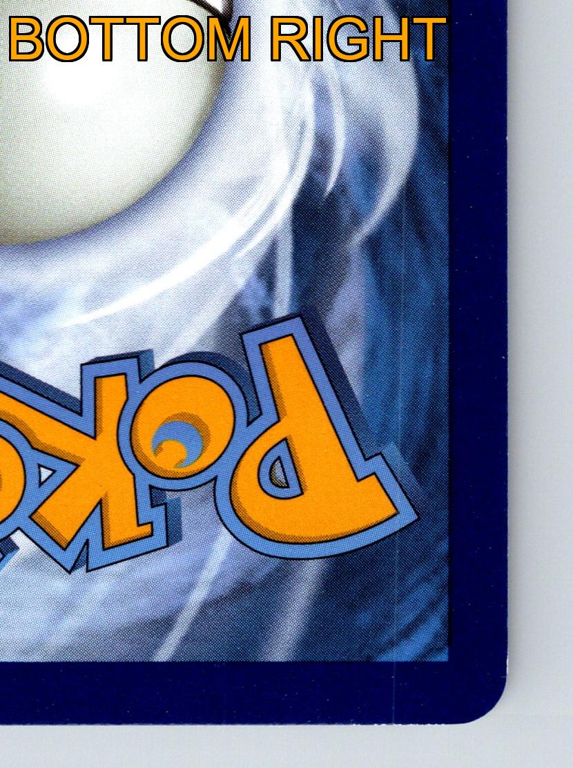 Stufe 1 Raichu HP 140 Thunderbolt Angriff Rarität Orange Energetisches Pokémon - Bild 10 von 10