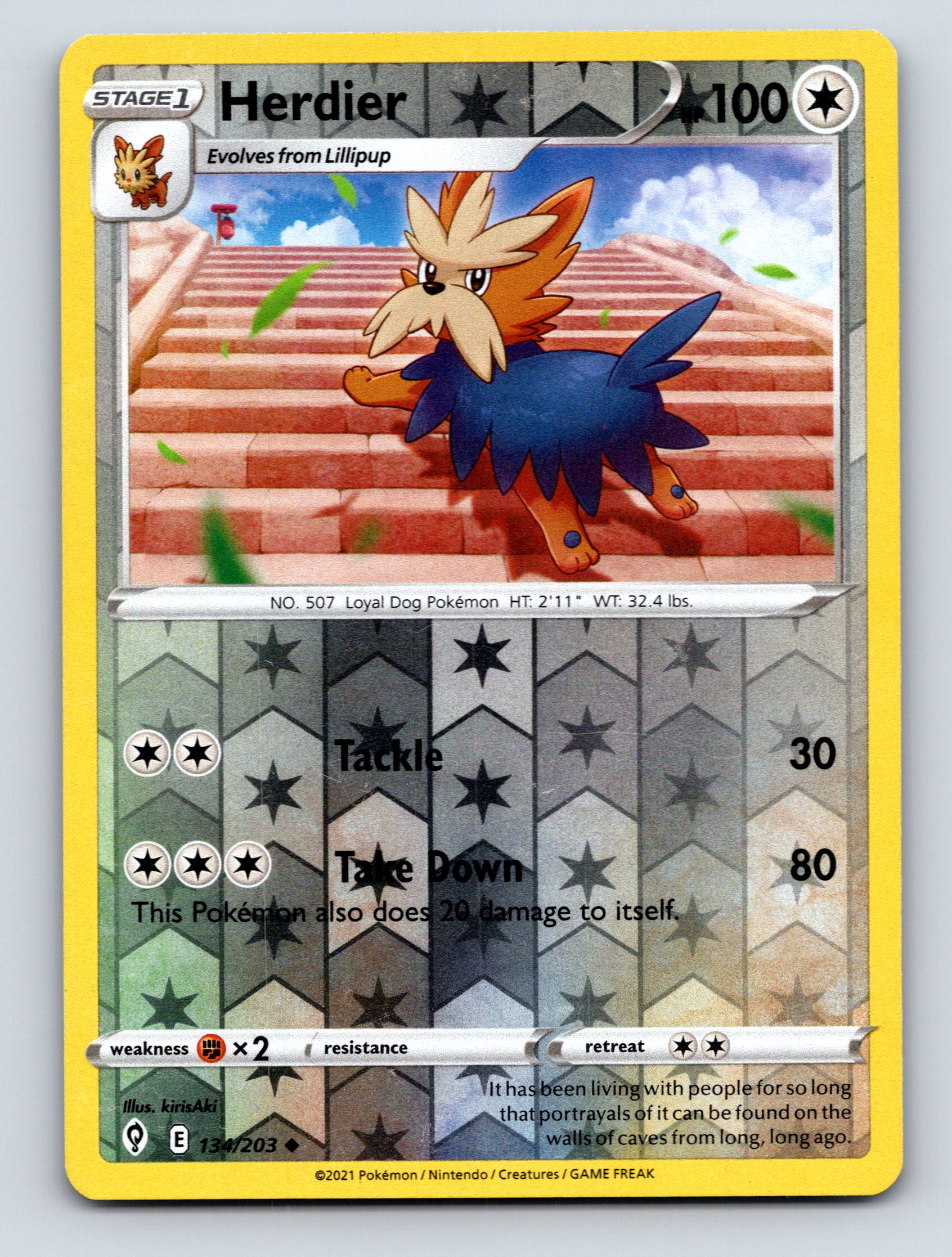 Stage 1 Herdier HP 100 Loyal Dog Pokmon Tackle Power Rarity Gray